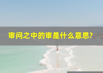 审问之中的审是什么意思?