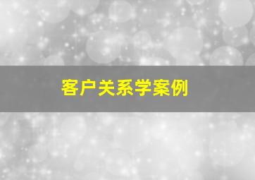 客户关系学案例