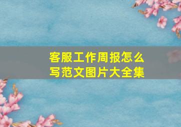 客服工作周报怎么写范文图片大全集