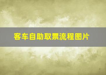 客车自助取票流程图片