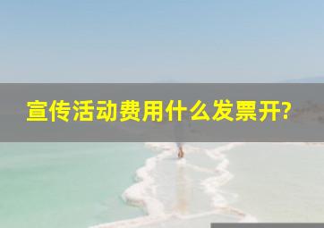 宣传活动费用什么发票开?