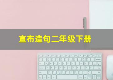 宣布造句二年级下册