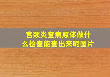 宫颈炎查病原体做什么检查能查出来呢图片