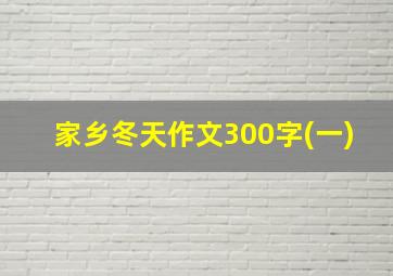 家乡冬天作文300字(一)