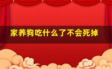 家养狗吃什么了不会死掉