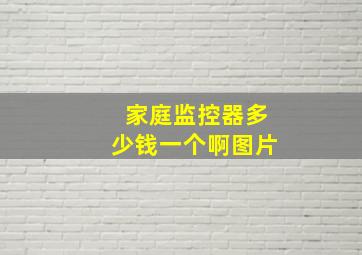 家庭监控器多少钱一个啊图片