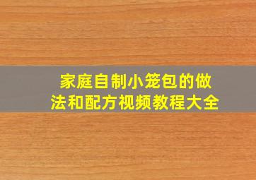 家庭自制小笼包的做法和配方视频教程大全