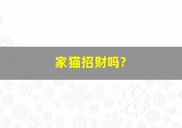 家猫招财吗?