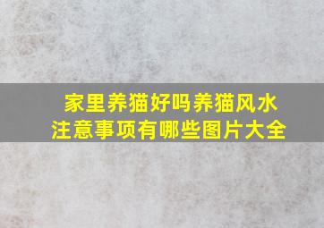 家里养猫好吗养猫风水注意事项有哪些图片大全