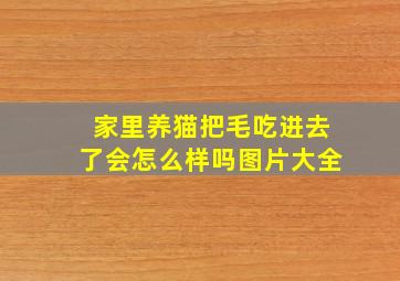 家里养猫把毛吃进去了会怎么样吗图片大全