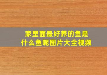 家里面最好养的鱼是什么鱼呢图片大全视频