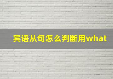 宾语从句怎么判断用what