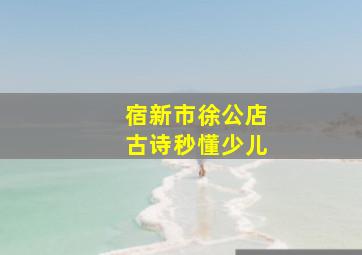 宿新市徐公店古诗秒懂少儿