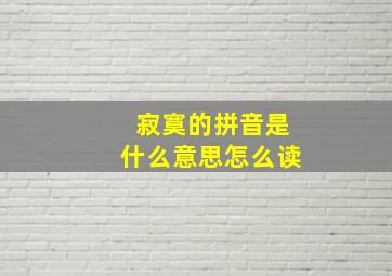 寂寞的拼音是什么意思怎么读