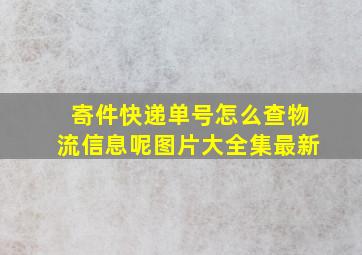 寄件快递单号怎么查物流信息呢图片大全集最新