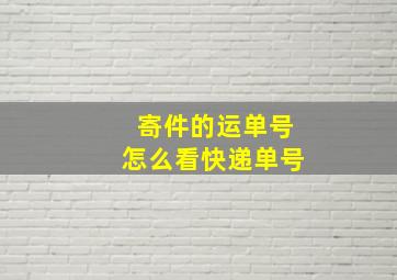 寄件的运单号怎么看快递单号