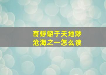 寄蜉蝣于天地渺沧海之一怎么读