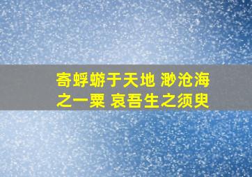 寄蜉蝣于天地 渺沧海之一粟 哀吾生之须臾