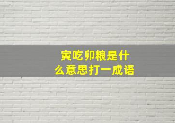 寅吃卯粮是什么意思打一成语