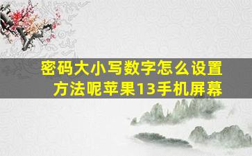 密码大小写数字怎么设置方法呢苹果13手机屏幕