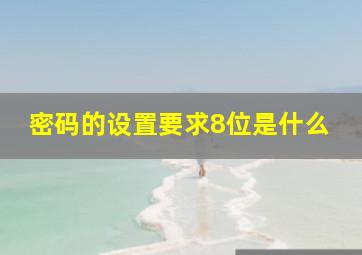 密码的设置要求8位是什么