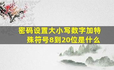 密码设置大小写数字加特殊符号8到20位是什么