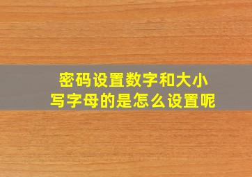 密码设置数字和大小写字母的是怎么设置呢