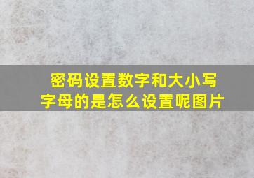 密码设置数字和大小写字母的是怎么设置呢图片