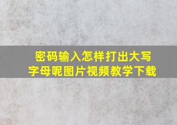 密码输入怎样打出大写字母呢图片视频教学下载