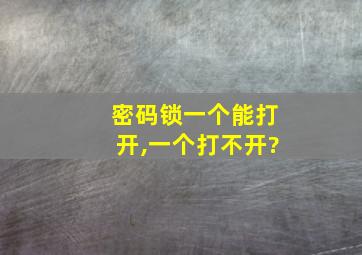 密码锁一个能打开,一个打不开?