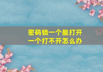 密码锁一个能打开一个打不开怎么办