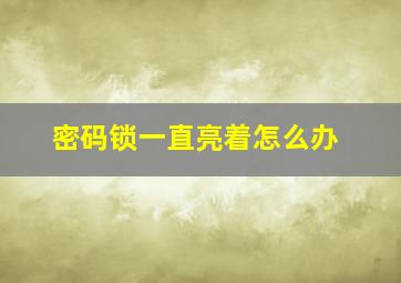 密码锁一直亮着怎么办