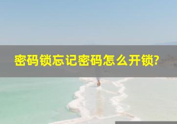 密码锁忘记密码怎么开锁?