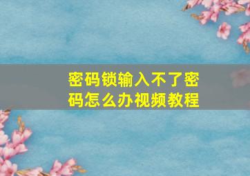 密码锁输入不了密码怎么办视频教程