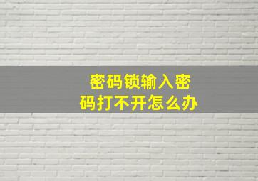 密码锁输入密码打不开怎么办