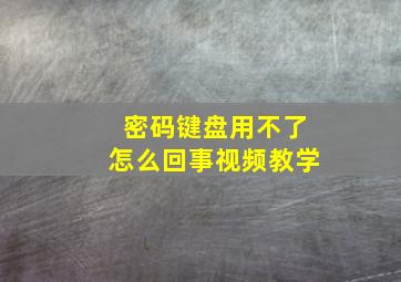 密码键盘用不了怎么回事视频教学