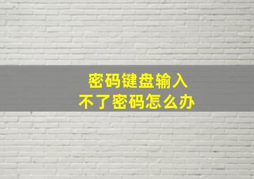 密码键盘输入不了密码怎么办