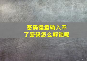 密码键盘输入不了密码怎么解锁呢