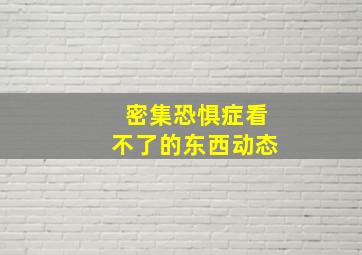 密集恐惧症看不了的东西动态