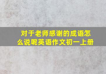 对于老师感谢的成语怎么说呢英语作文初一上册