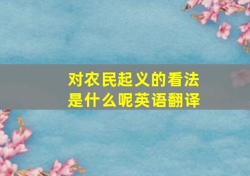 对农民起义的看法是什么呢英语翻译