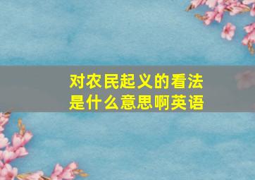 对农民起义的看法是什么意思啊英语