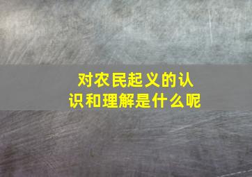 对农民起义的认识和理解是什么呢