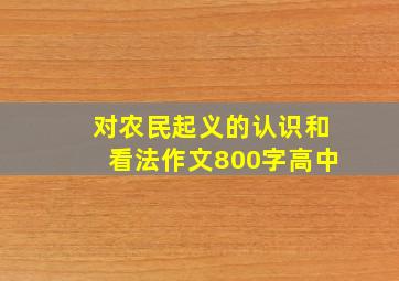 对农民起义的认识和看法作文800字高中