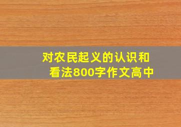 对农民起义的认识和看法800字作文高中