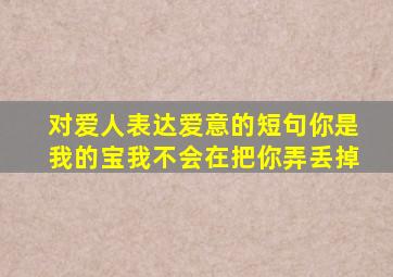 对爱人表达爱意的短句你是我的宝我不会在把你弄丢掉