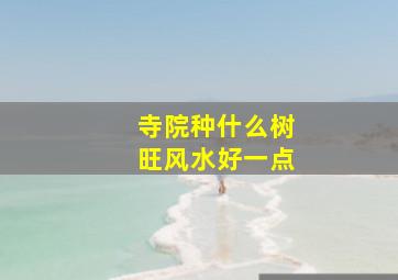 寺院种什么树旺风水好一点