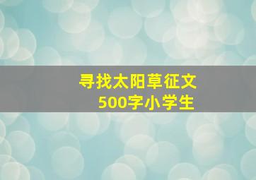 寻找太阳草征文500字小学生