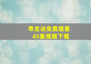 寻龙诀免费观看45集视频下载