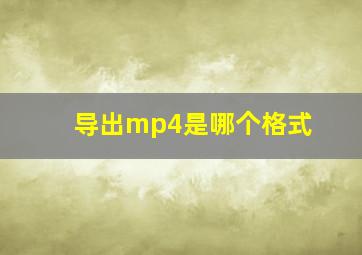 导出mp4是哪个格式